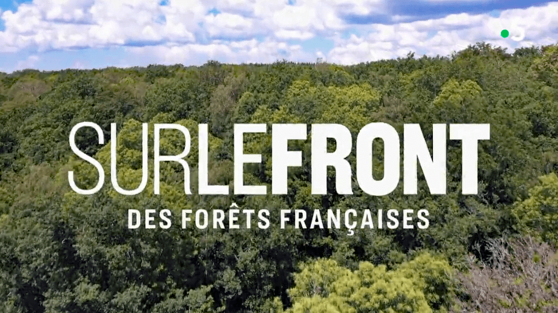 Sur le front des forêts françaises