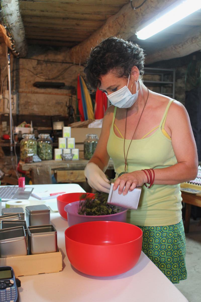 Pour les tisanes, les plantes sont cueillies, séchées puis mises en boite et étiquetées, le tout à la main. - © HLP  