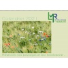 Calendrier LMR 2021 (1 exemplaire)